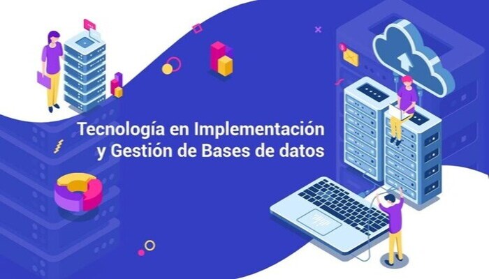 Imagen general de sección